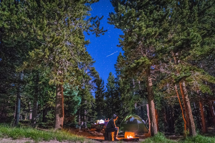 man sitting near bonfire and green tent in forest