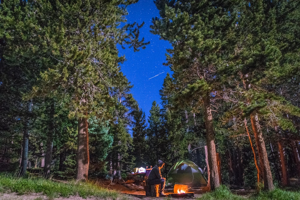 Hombre sentado cerca de la hoguera y la carpa verde en el bosque