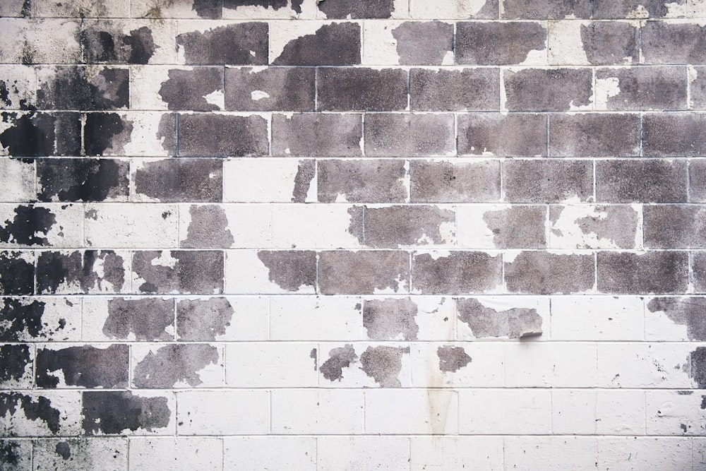 muro di cemento bianco e marrone