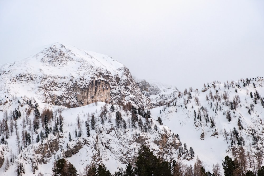 snow covered mountains