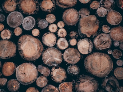 pile of brown wooden logs log zoom background