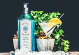 A blue bottle of Bombay Sapphire gin is placed next to a cocktail glass garnished with a slice of orange. The setting includes green plants in the background and ice cubes scattered in the foreground, creating a refreshing and stylish presentation.