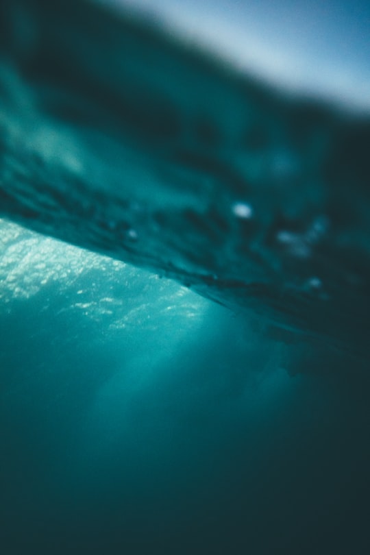 photo of Lombok Underwater near Sembalun Lawang