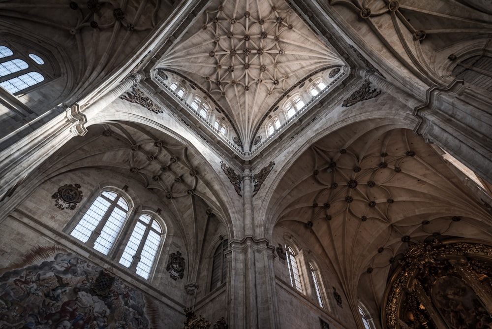 low-angle photography of cathedral