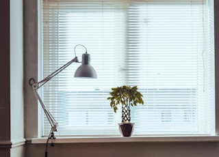 standing lamp near window