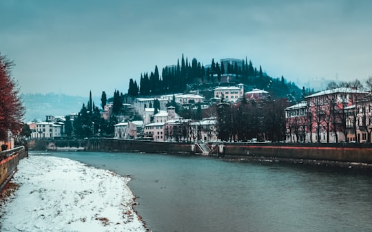 river beside buildings during daytime in Castel San Pietro Italy