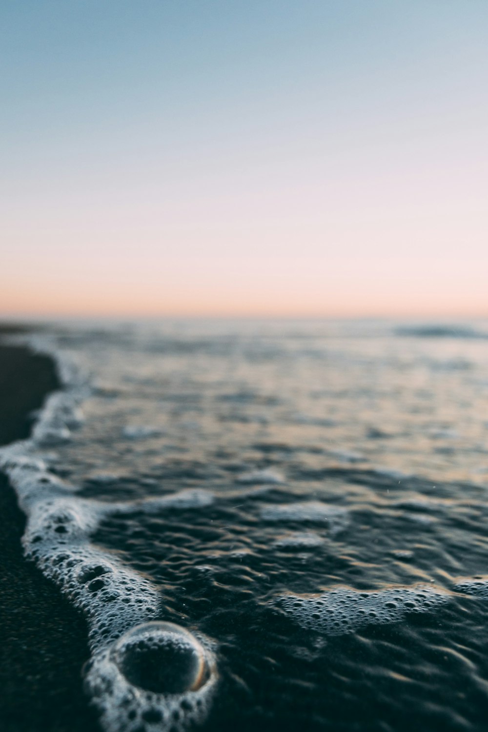 sea shore in closeup photography