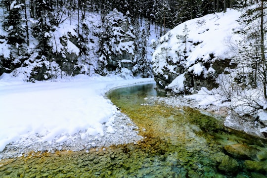 body of water during daytime photo in Kranjska Gora Slovenia