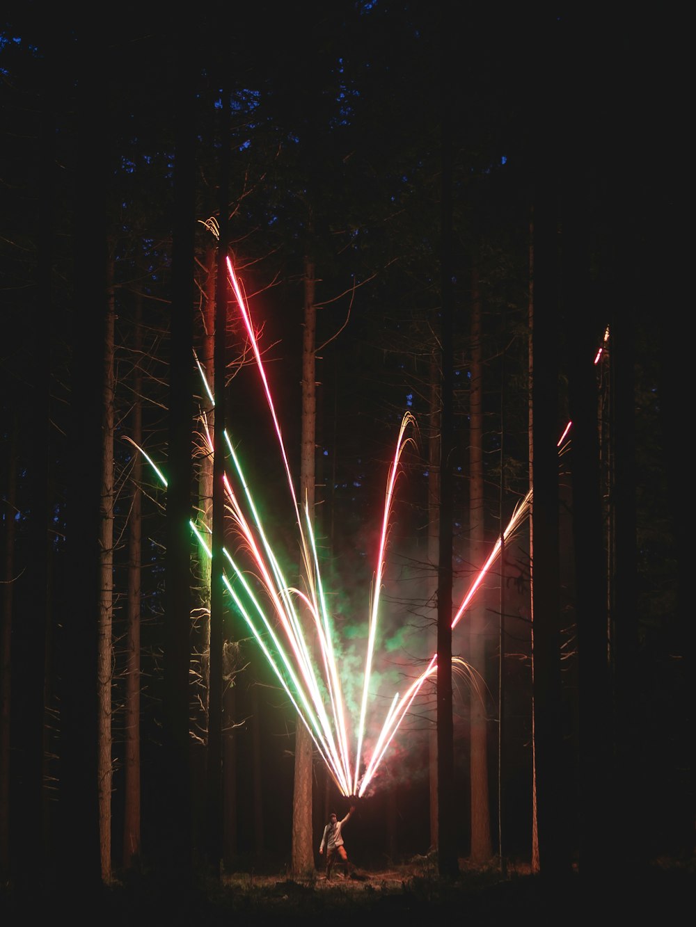 person holding fireworks in the middle of the forest