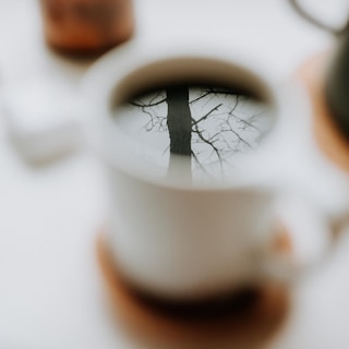 The reflection of a bare tree is visible on the surface of a cup of coffee, creating a contemplative and artistic visual. The focus is on the reflection, while the rest of the image is softly blurred.