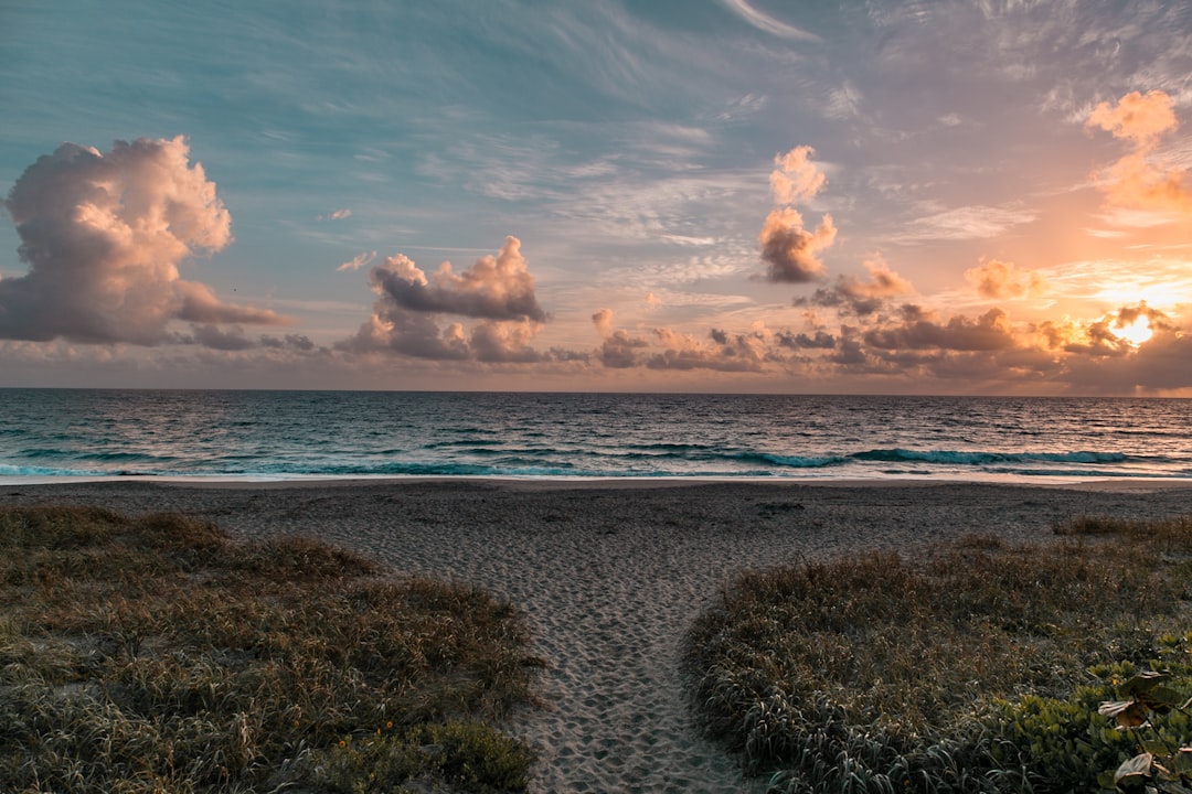 seashore during daytime