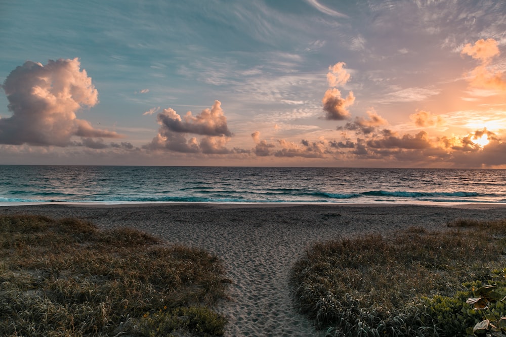 seashore during daytime