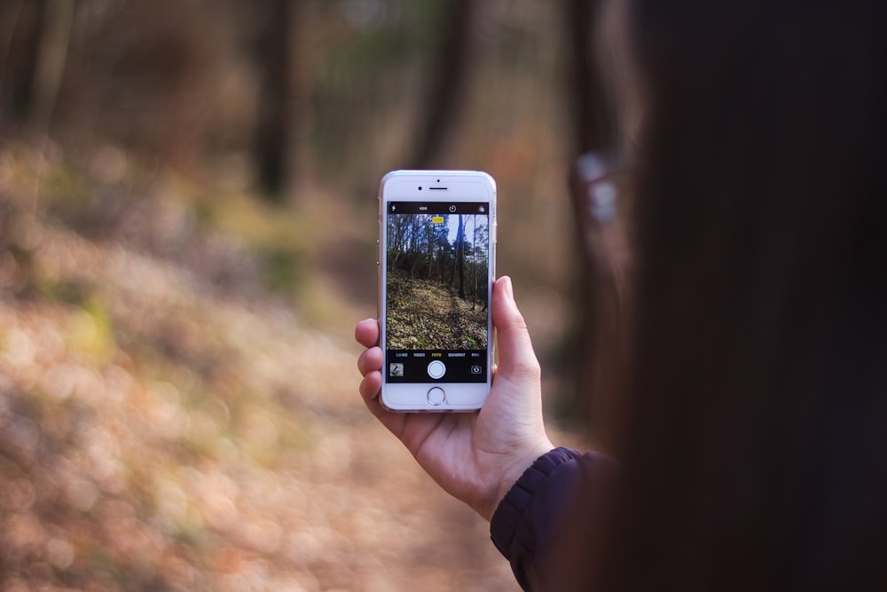 selective focus photography of person taking photo of trees