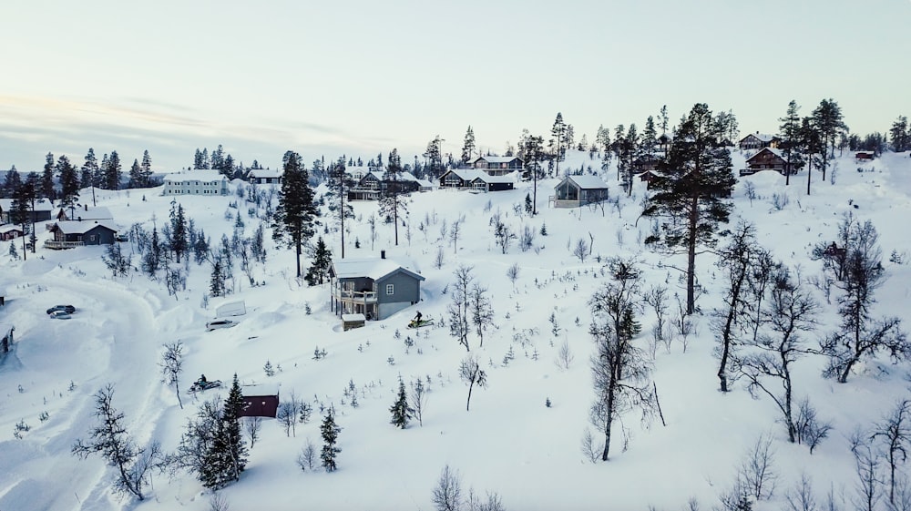 aerial shot of snow covered village