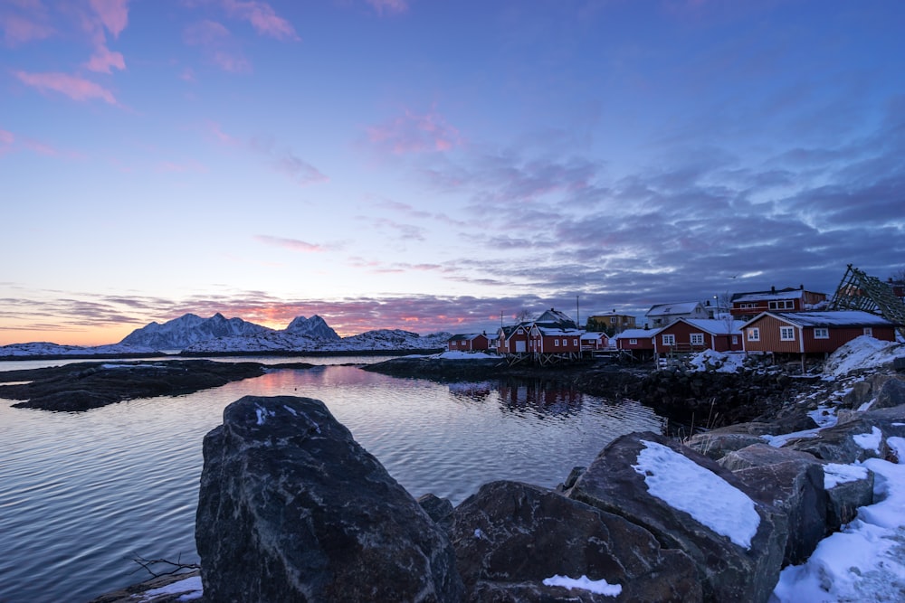 brown and white wooden houses near body of water