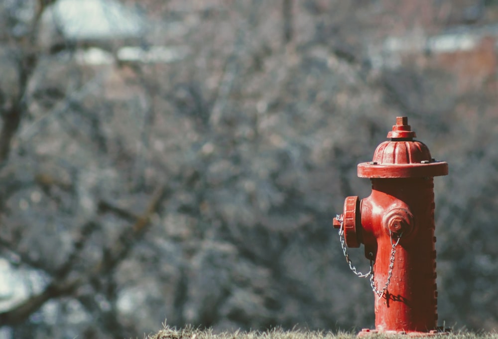 Selektive Fokusfotografie eines roten Hydrantenfotos, das tagsüber aufgenommen wurde