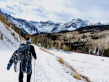 Snowshoers trekking through a pristine snow-covered forest in British Columbia