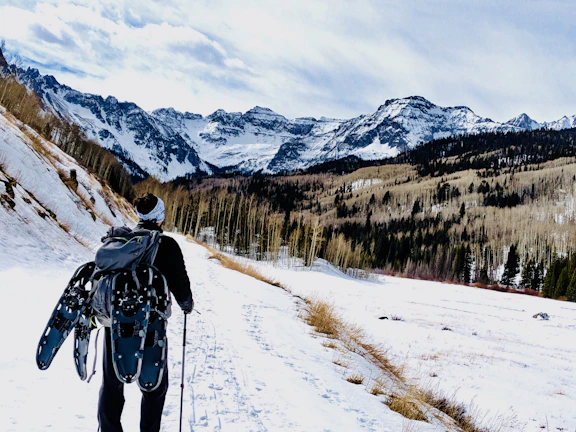 Snowshoers trekking through a pristine snow-covered forest in British Columbia