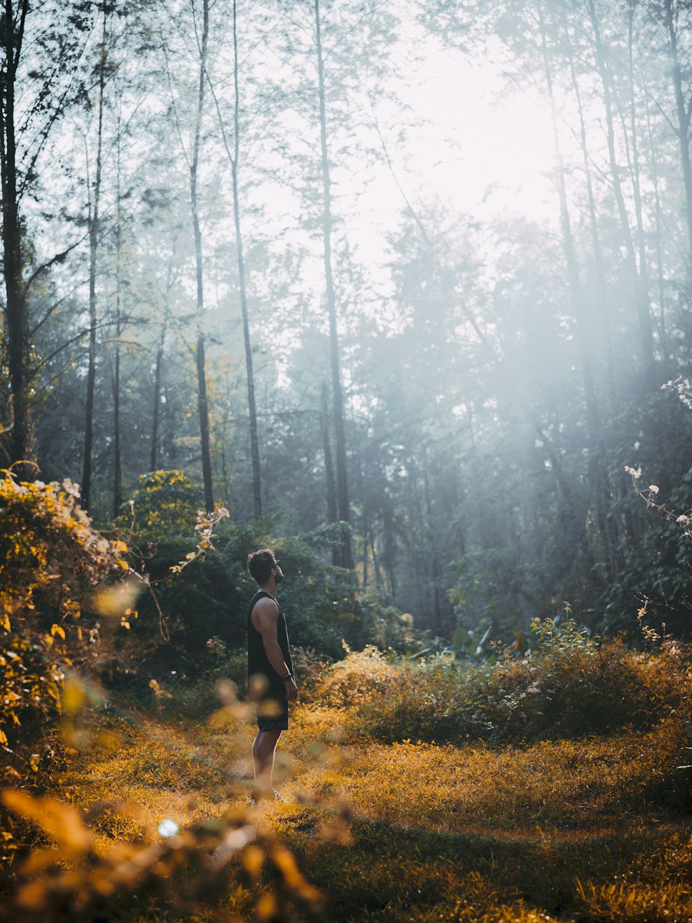 man standing on brown grass and looking up at forest