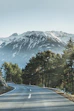 asphalt road beside of green trees in front of mountain covered of snow during daytime