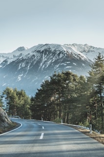 asphalt road beside of green trees in front of mountain covered of snow during daytime