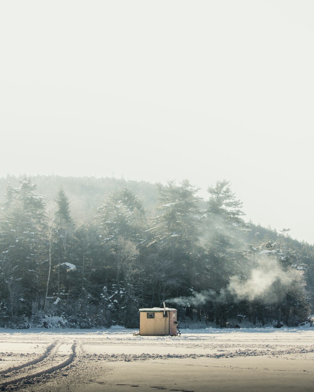 white shed surrounded by trees