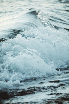 Close-up of a prototype ocean wave energy converter floating on the sea surface.