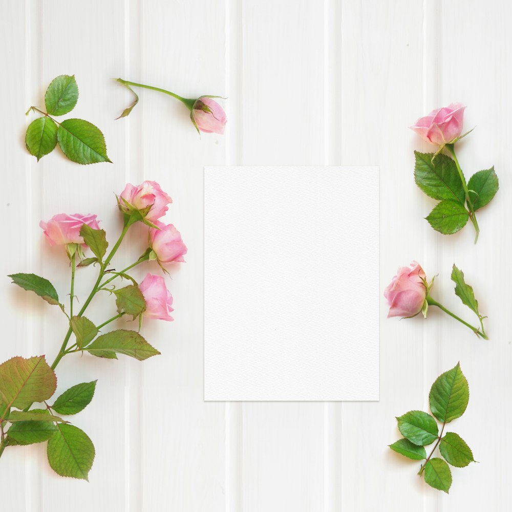 pink roses on white wooden surface