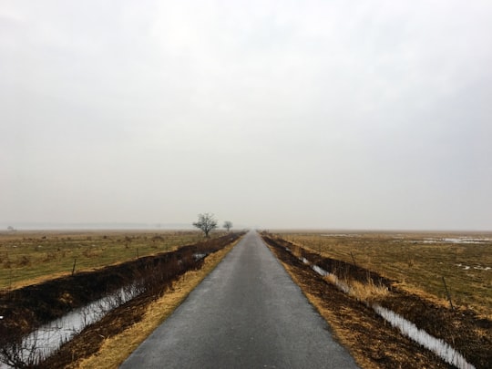 asphalt road in Kalvebod Fælled Denmark