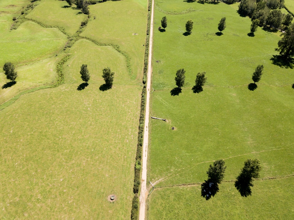 aerial photo of grass field