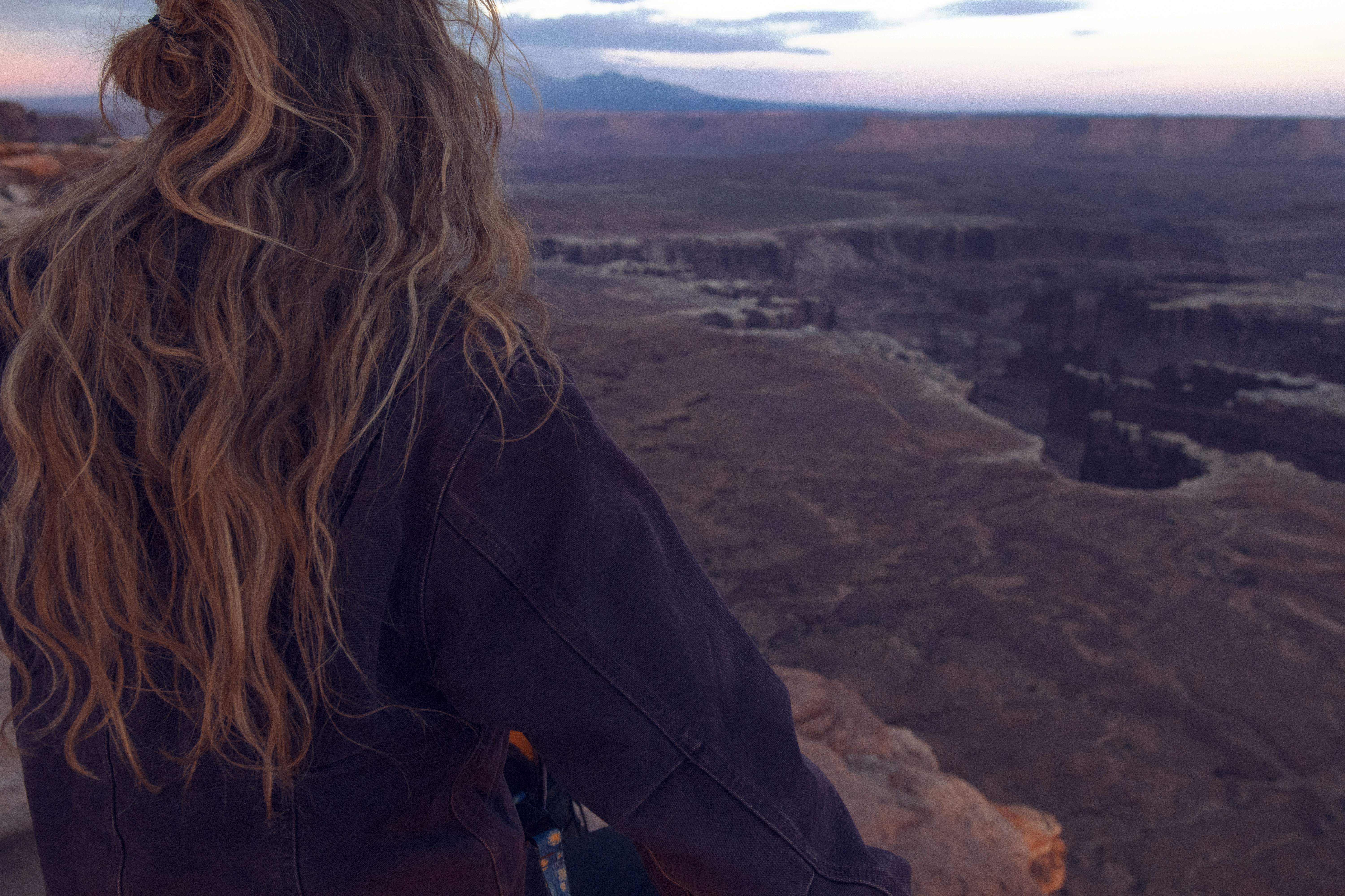 The Secret Underground Network That Keeps Forests Alive