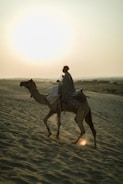 A person wearing a traditional robe and turban rides a camel across a sandy desert landscape. The scene is backlit by the setting sun, casting a warm glow over the sand dunes.