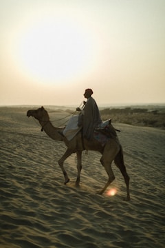 A person wearing a traditional robe and turban rides a camel across a sandy desert landscape. The scene is backlit by the setting sun, casting a warm glow over the sand dunes.