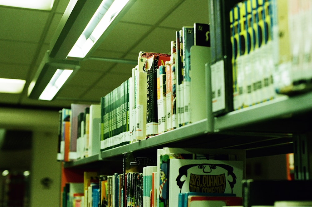 books on gray shelf