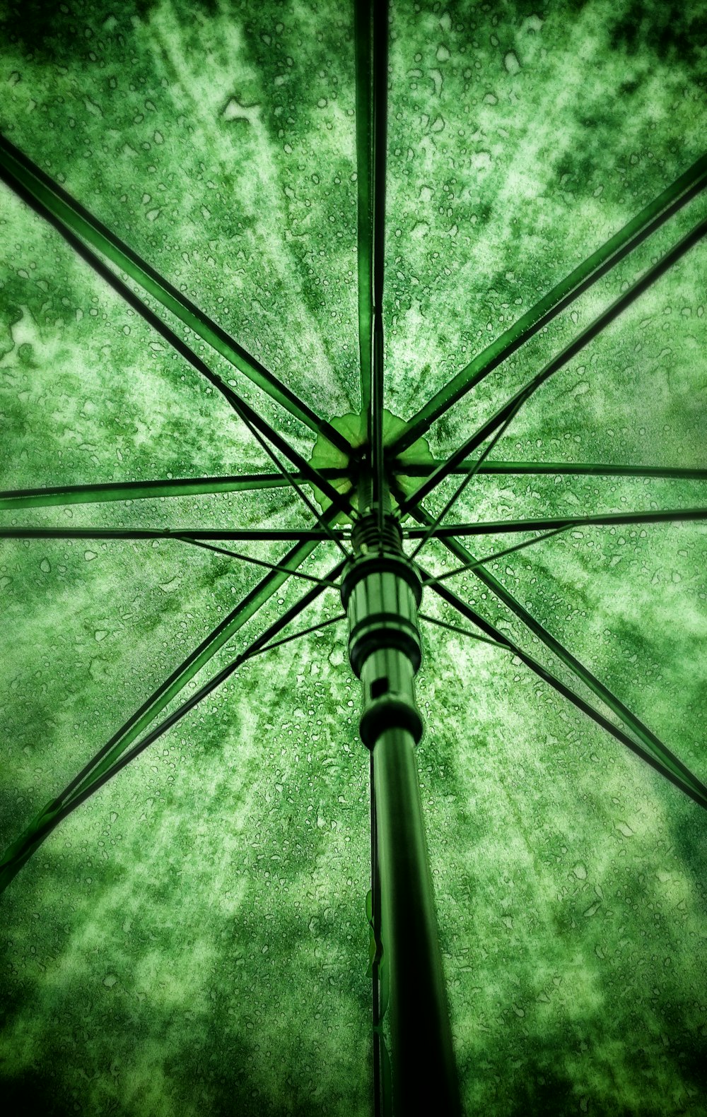 photo of green umbrella