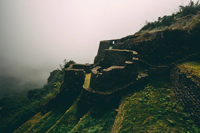 An ancient abandoned city swallowed by dense jungle and mist.