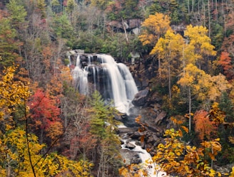 waterfalls during daytime