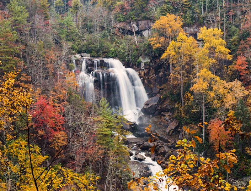 Autumn Falls