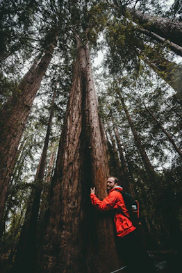 man hugging a tree at the forest