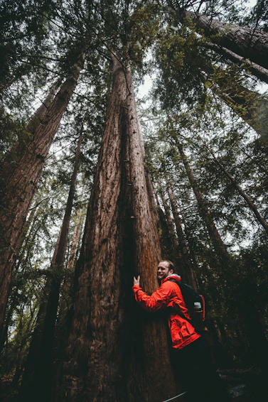 man hugging a tree at the forest