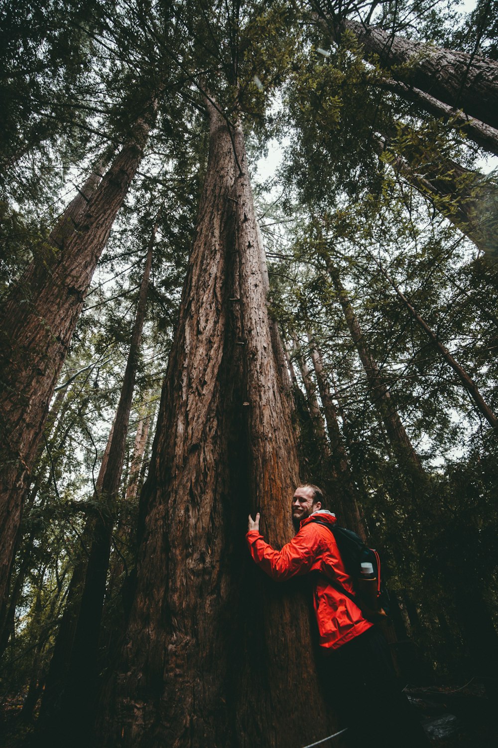 Homem abraçando uma árvore na floresta