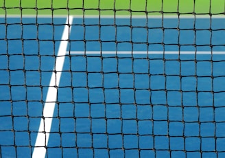 closeup photo of tennis net