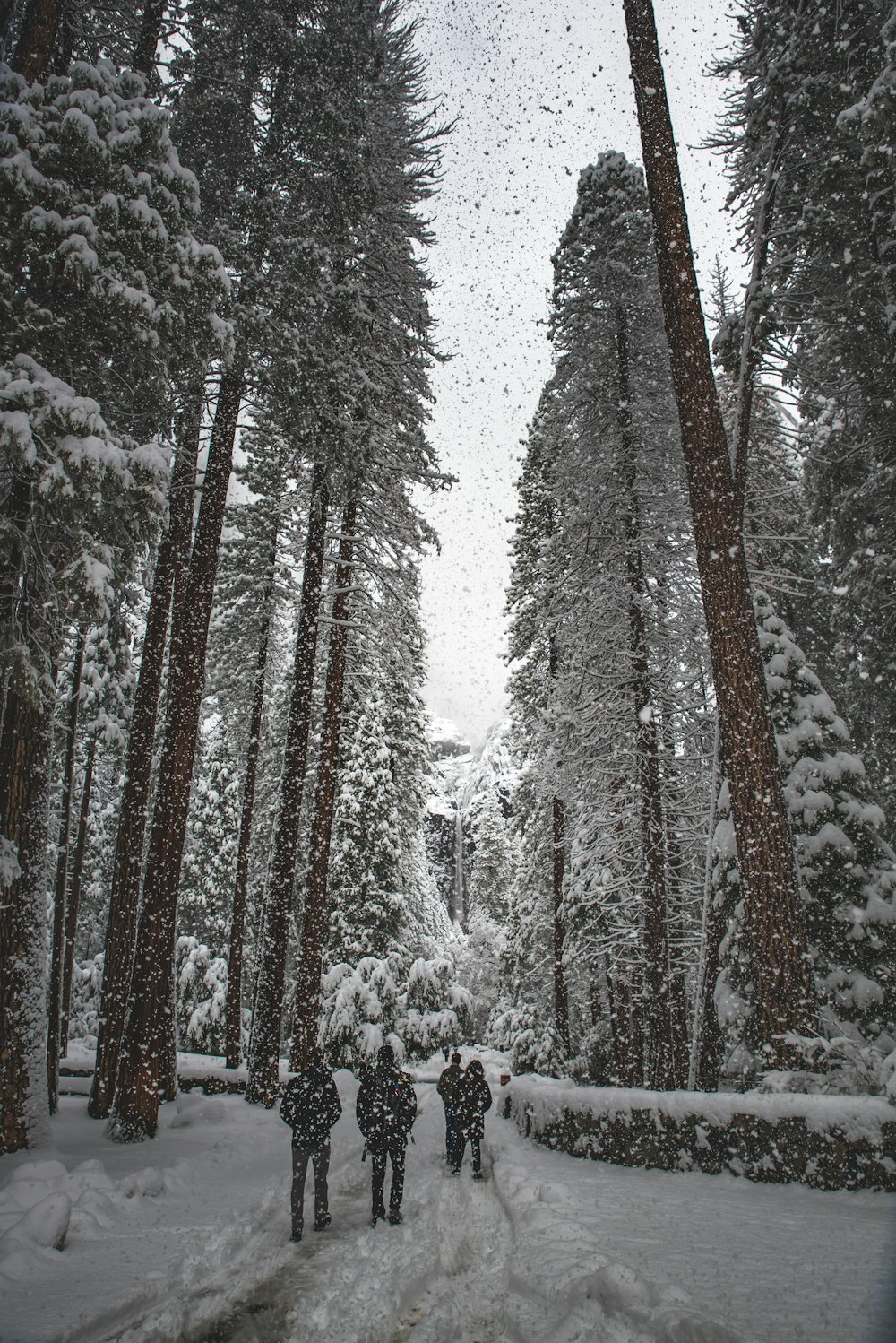 people walking though snow weather