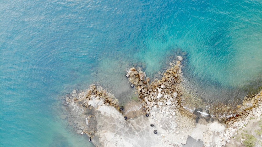 aerial photography of seashore at daytime