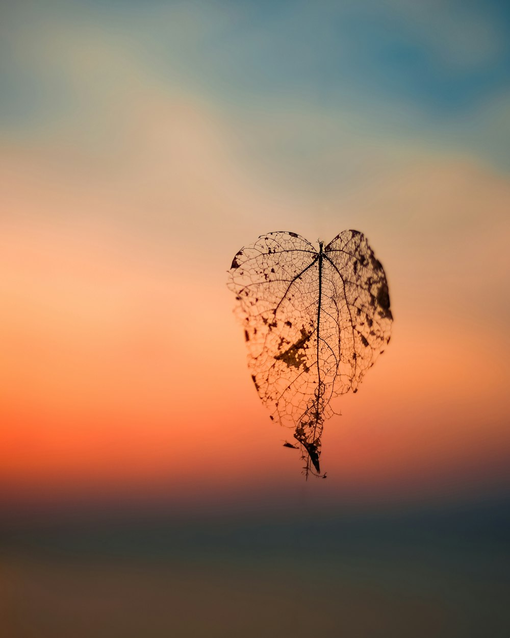 dried leaf falling on ground