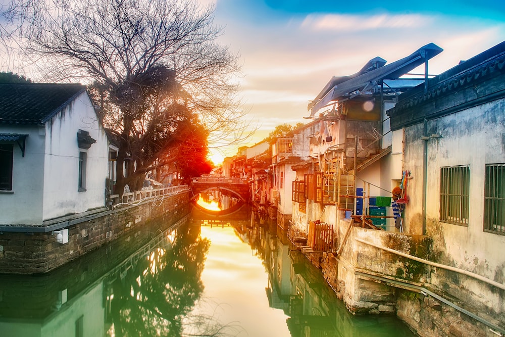 canal with bridge and houses