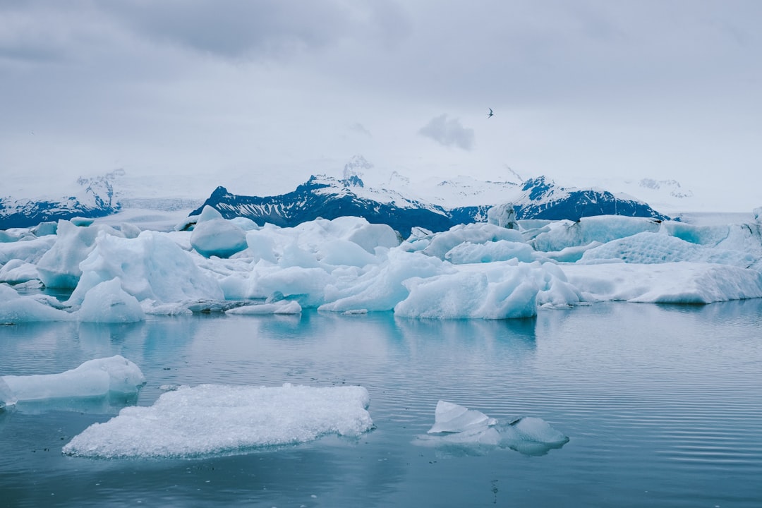 ice on body of water, Icebergs in Iceland