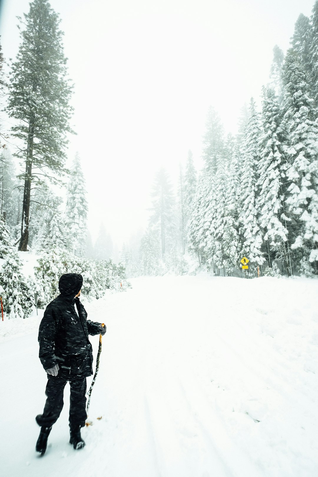 Skiing photo spot Fish Camp United States