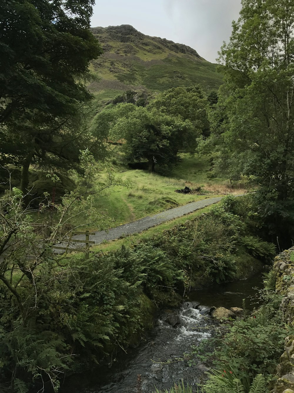 road beside mountain and river