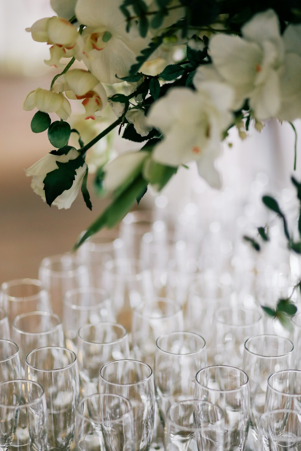 white flowers